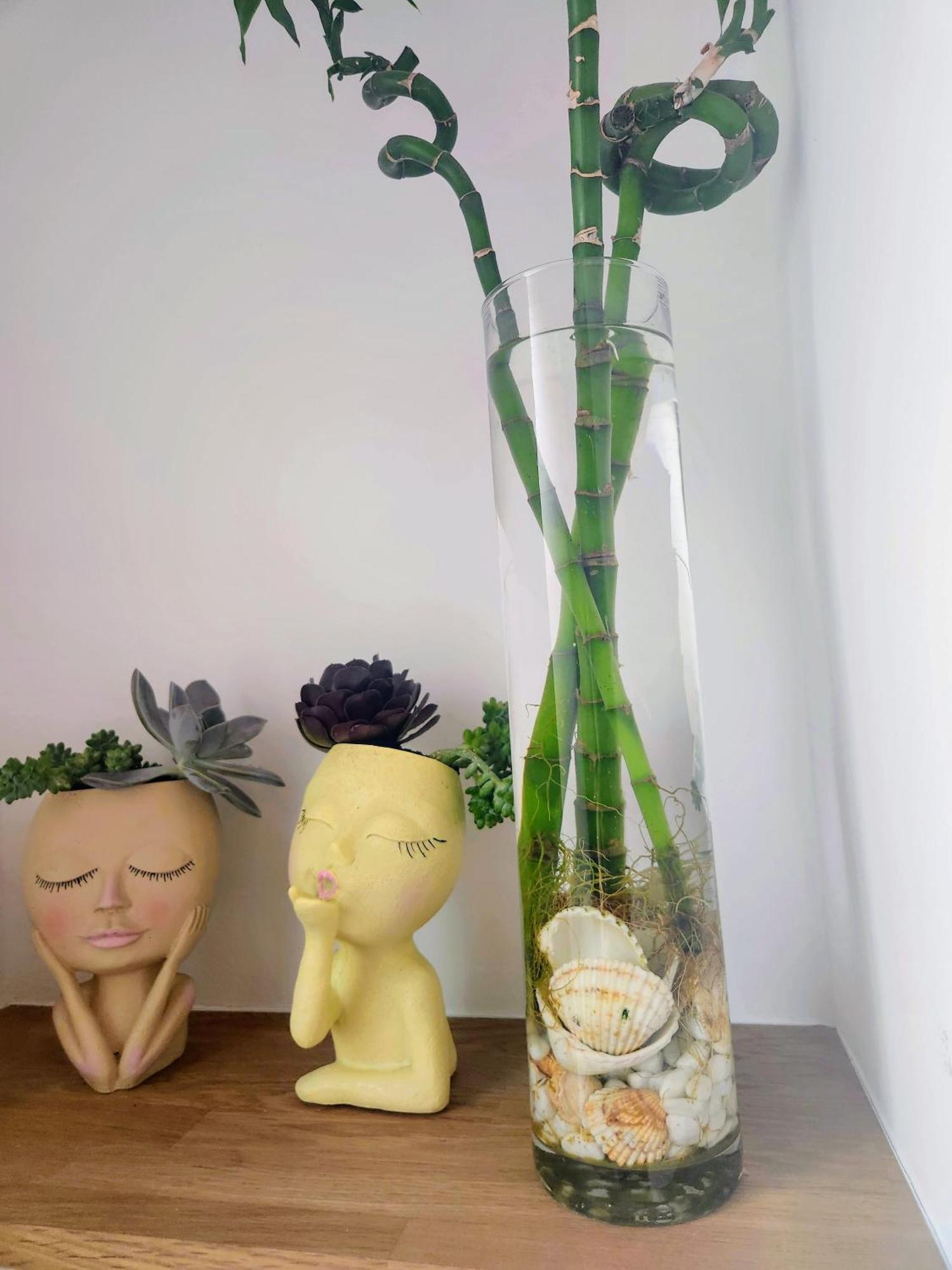 Estudio Con Terraza Badalona 호텔 외부 사진